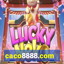 caco8888.com