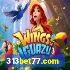 313bet77.com