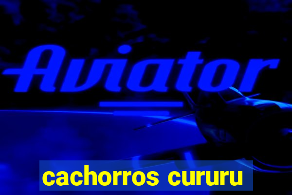 cachorros cururu