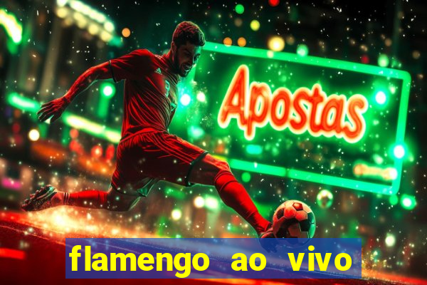 flamengo ao vivo multi tv