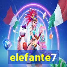 elefante7