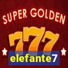 elefante7