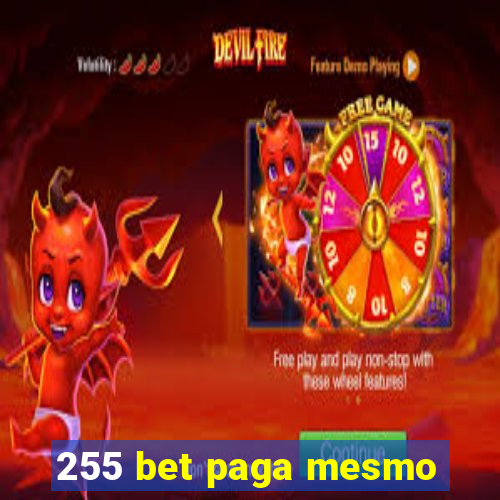 255 bet paga mesmo