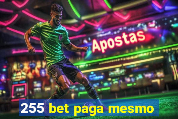 255 bet paga mesmo