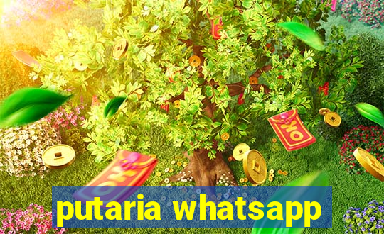 putaria whatsapp