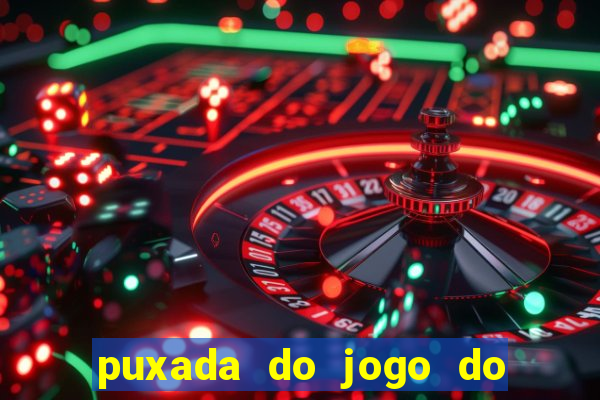 puxada do jogo do bicho da sueli