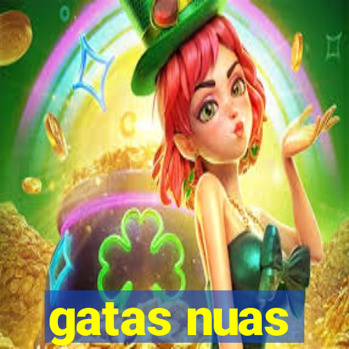 gatas nuas