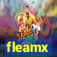 fleamx