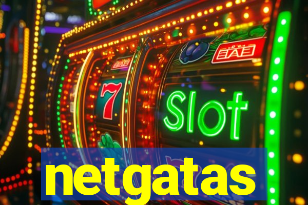 netgatas