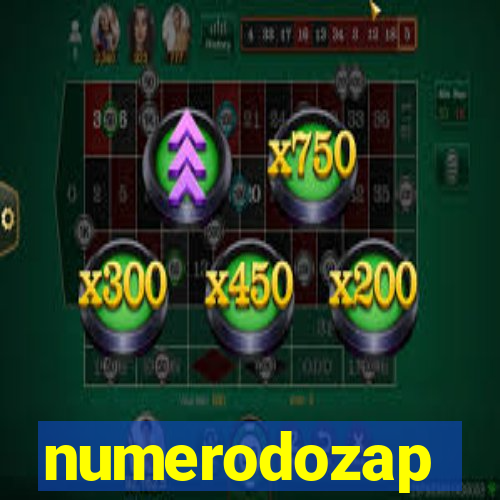 numerodozap