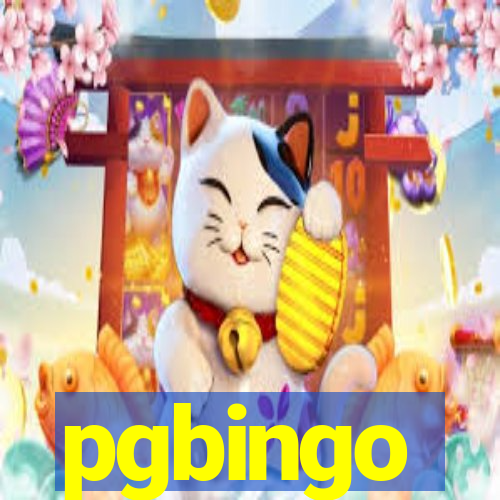 pgbingo