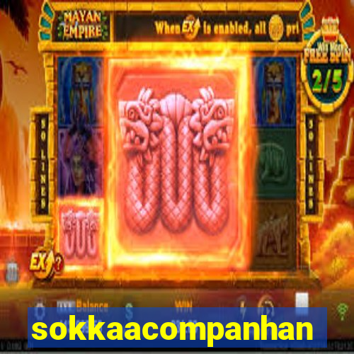 sokkaacompanhantes