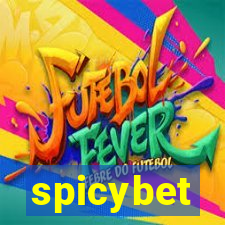 spicybet-2.com