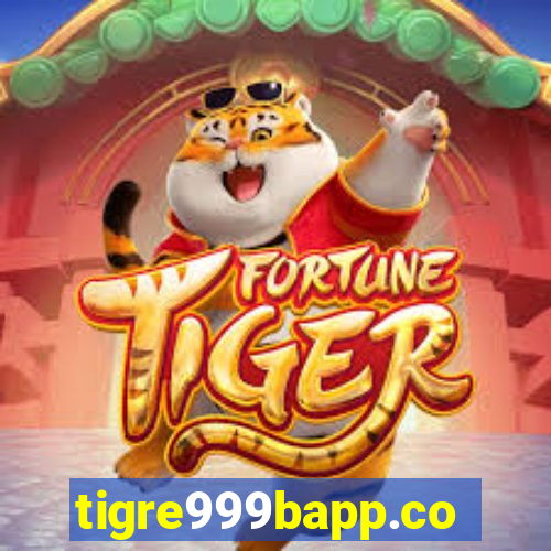 tigre999bapp.com