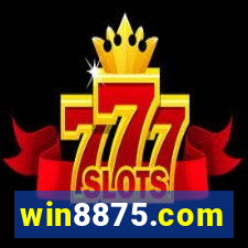 win8875.com