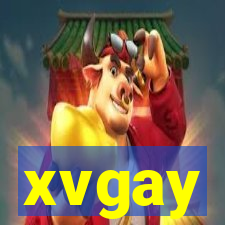 xvgay