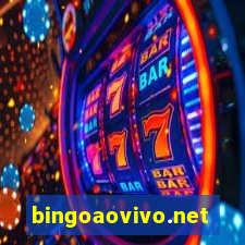 bingoaovivo.net