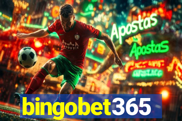 bingobet365