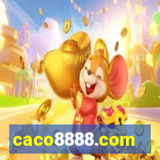 caco8888.com