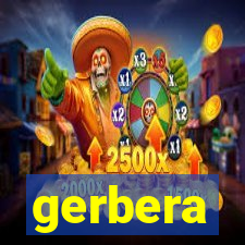 gerbera-dh.com