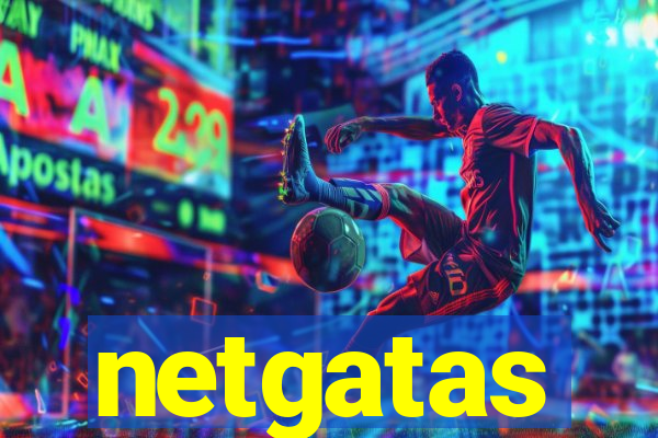 netgatas