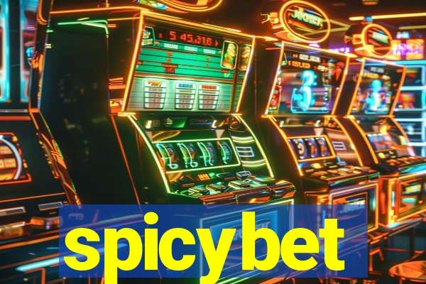 spicybet-4.com