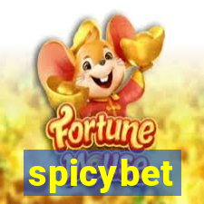 spicybet-5.com