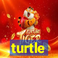 turtle-ty.com